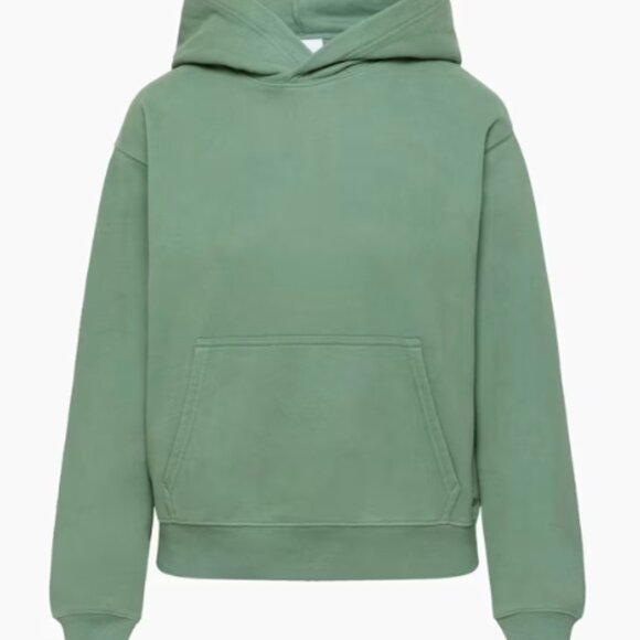 Aritzia Sweaters - Aritzia TNA Cozy Sweatfleece Perfect Hoodie